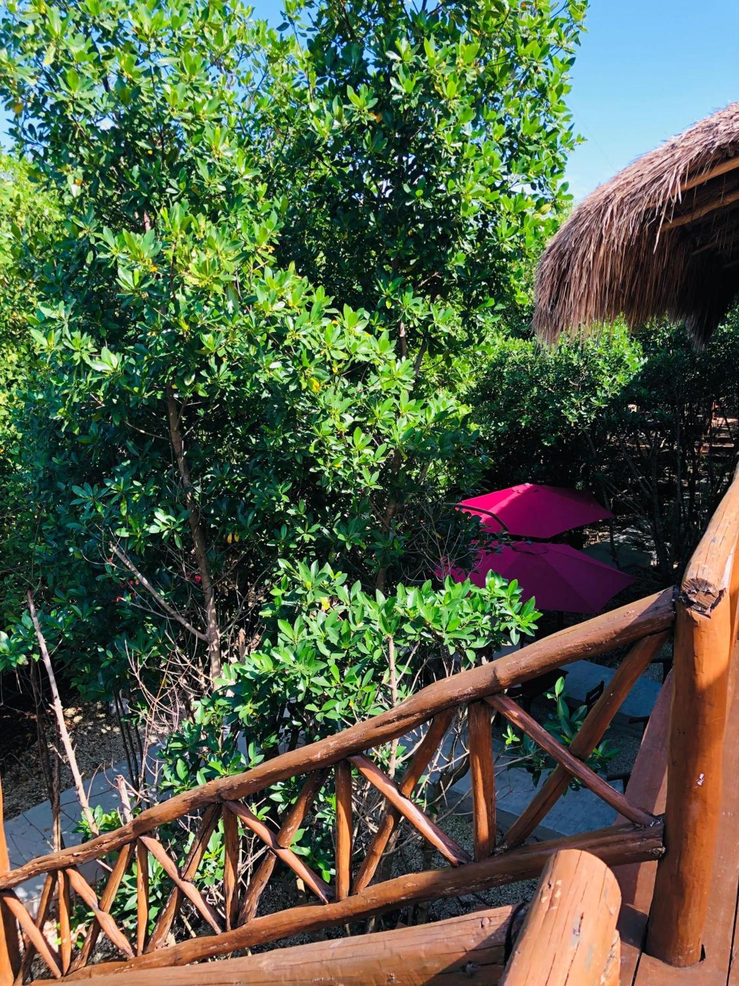 Cabanas Tulum - Aldea Mangle & Cenote Exterior foto